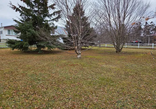 Maison à vendre - 111 Rue Juliette, Les Mechins, G0J 1T0