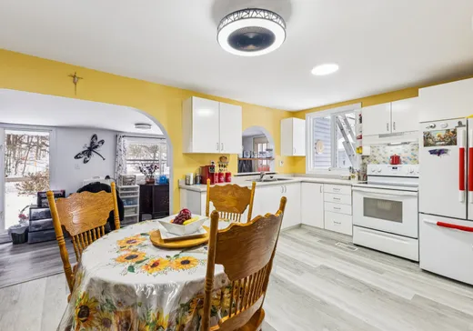 Maison à vendre - 52 Ch. Pink, Cantley, J8V 2Z4