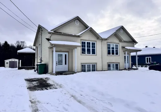 Maison à étages à vendre - 313 Rue de la Colline, Mont-Laurier, J9L3G4