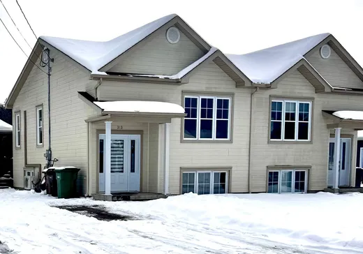 Maison à vendre - 313 Rue de la Colline, Mont-Laurier, J9L 3G4