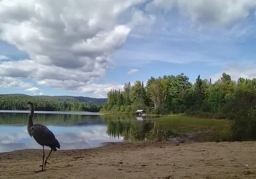 Maison à vendre - 49 Ch. de la Promenade, L'Ascension, J0T 1W0