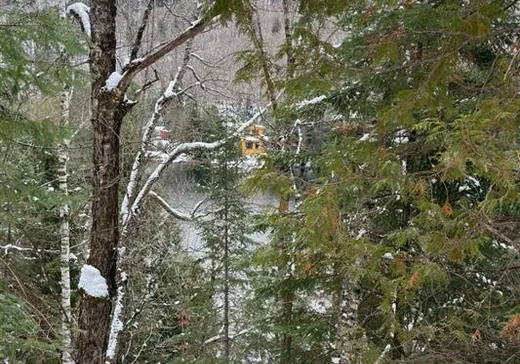 Maison à vendre - 8M Route des Érables, Mont-Tremblant, J0T 1M0