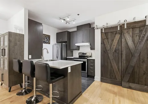 Condo à vendre - 201 Rue Charlotte, App. 205, Montréal (Ville-Marie), H2X0B1