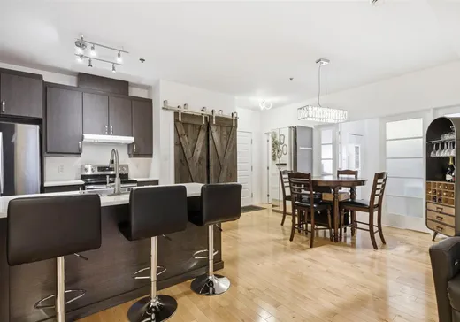 Condo à vendre - 201 Rue Charlotte, App. 205, Montréal (Ville-Marie), H2X 0B1