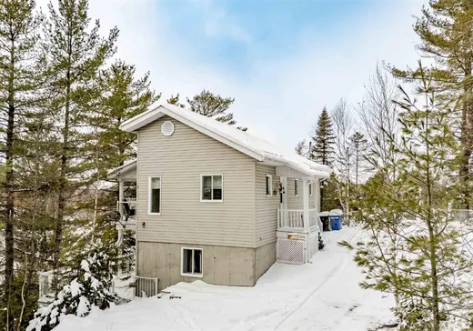 House for sale - 294 Rue des Hirondelles, Thetford-Mines, G0N 1S0