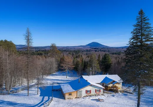 Paliers multiples à vendre - 508Z Route de Mansonville, Mansonville, J0E1X0