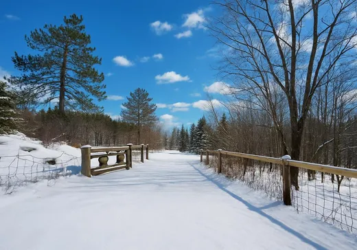 Fermette à vendre - 508 Route de Mansonville, Mansonville, J0E 1X0