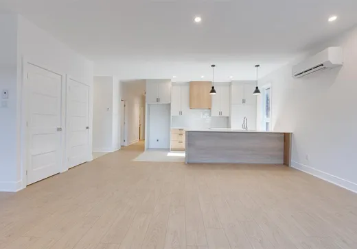 Condo à vendre - 11385 Av. L'Archevêque, Montréal (Nord), H1H 3B1