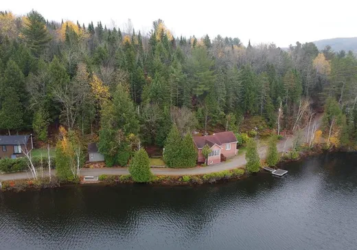 Maison à vendre - 450 Ch. du Lac-Bell, St-Élie-de-Caxton, G0X 2N0