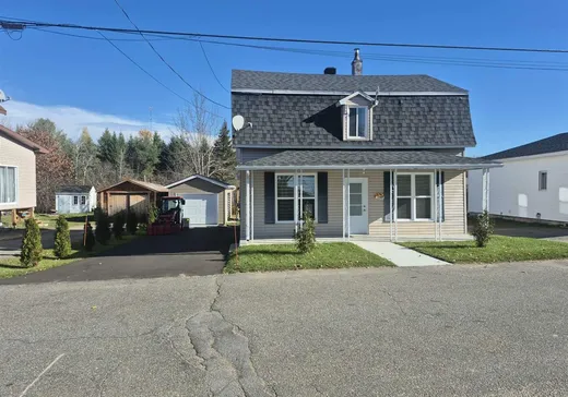 Maison à étages à vendre - 1280 Rue Principale, Saint-Roch-de-Mékinac, G0X2E0