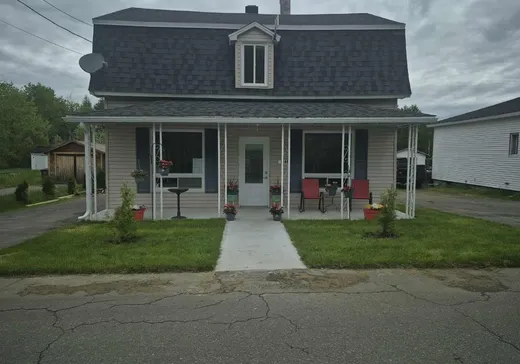 Maison à vendre - 1280 Rue Principale, Saint-Roch-de-Mékinac, G0X 2E0