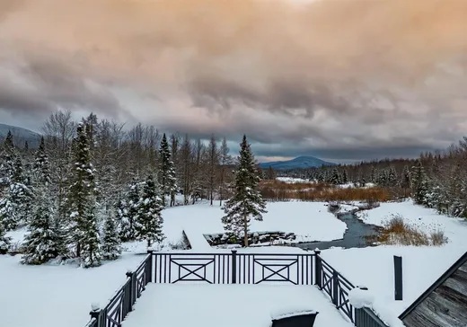 Maison à vendre - 348 Ch. George-Bonnallie, Eastman, J0E 1P0