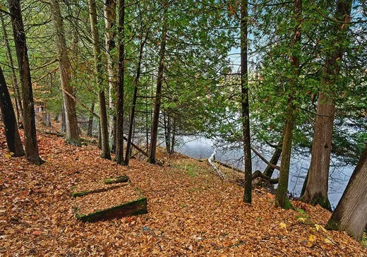 Maison à vendre - 194 Ch. Johnson, Thorne, J0X 2A0