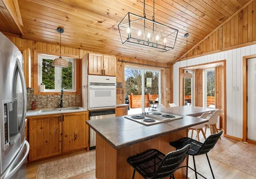 Maison à vendre - 670 Rue des Maisonnettes, Sainte-Adèle, J8B 1V6