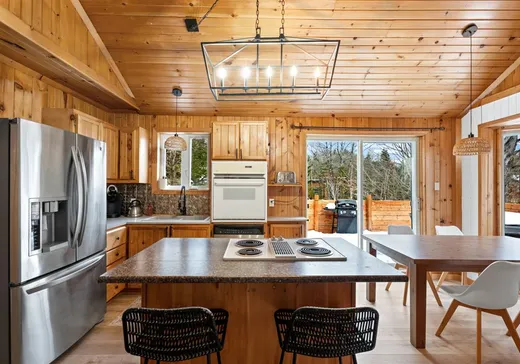 Maison à vendre - 670 Rue des Maisonnettes, Sainte-Adèle, J8B 1V6