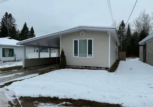 Loft for sale - 3975 Boul. Ducharme, La Tuque, G9X 4V1