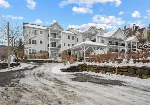 Condo for sale - 615 Rue Maple, App. 204, Sutton, J0E 2K0