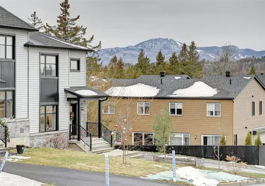 Maison à vendre - 249 Av. de l'Ail-des-Bois, Orford, J1X 0S9