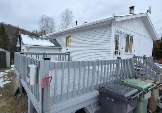 House for sale - 549 Ch. St-Louis, St-Remi-D'Amherst, J0T 2L0