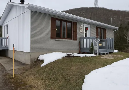 House for sale - 549 Ch. St-Louis, St-Remi-D'Amherst, J0T 2L0