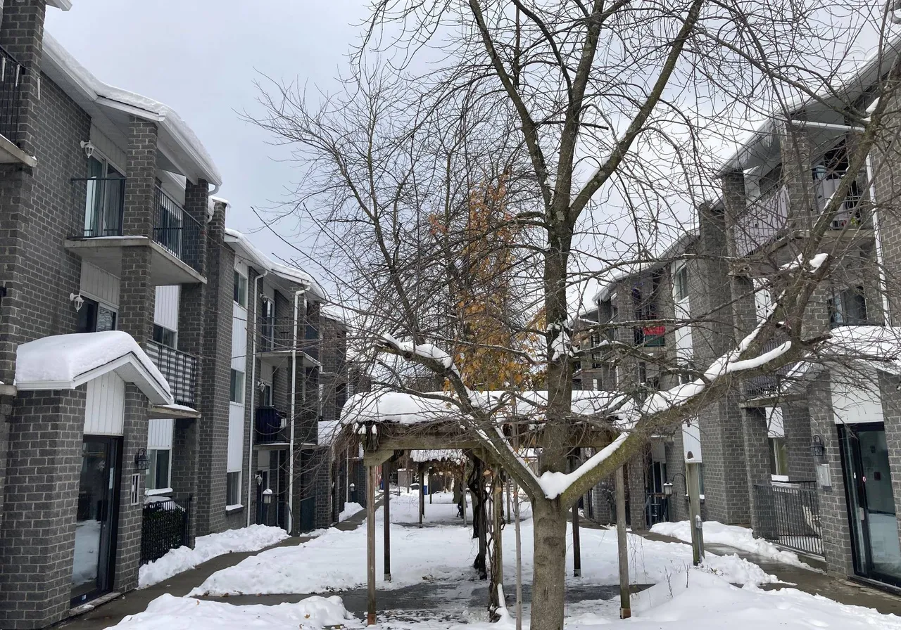 230 Rue Denison O. — photo 2