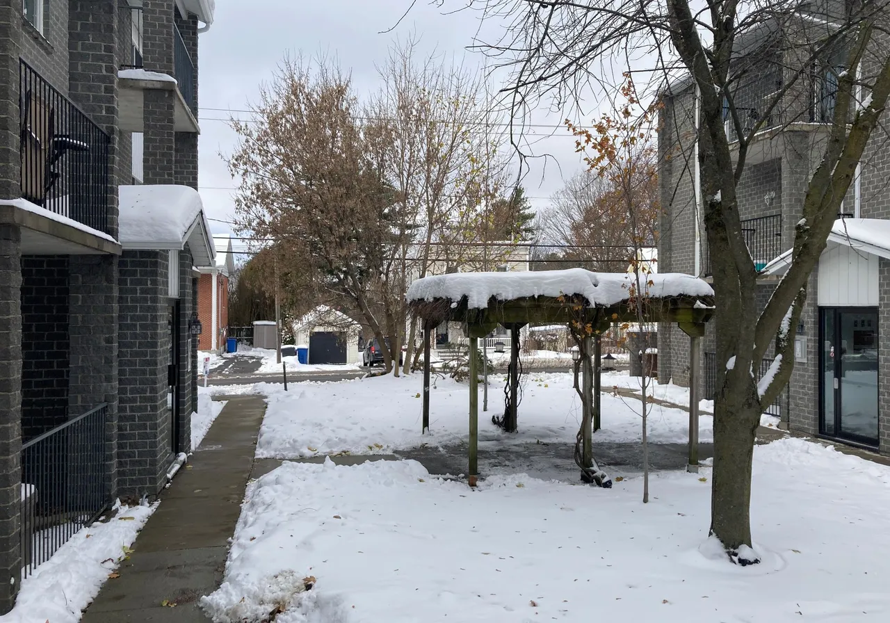 230 Rue Denison O. — photo 3