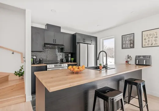 House for sale - 165 Rue des Matricaires, Ste-Brigitte-De-Laval, G0A 3K0