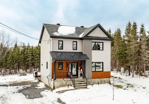 Maison à vendre - 15 Ch. Armand-Martineau, Saint-Herménégilde, J0B 2W0