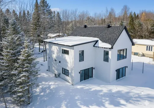 House for sale - 172 Rue Martin, Eastman, J0E 1P0