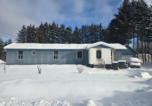 Loft à vendre - 30 Rue du Lac-Claire, Shawinigan, G0X 1L0