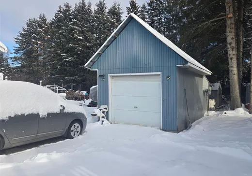 Loft à vendre - 30 Rue du Lac-Claire, Shawinigan, G0X 1L0