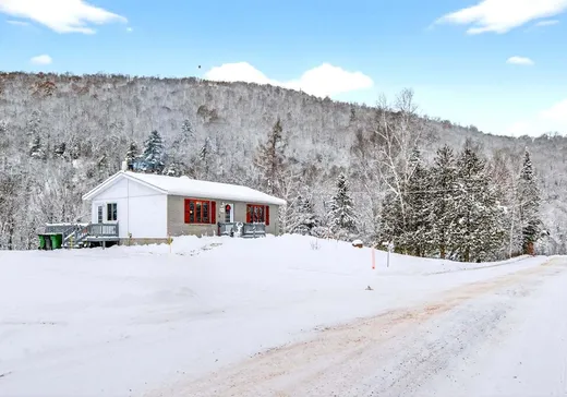 Fermette à vendre - 549Z Ch. St-Louis, St-Remi-D'Amherst, J0T 2L0