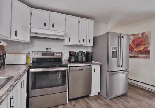 Maison à vendre - 3010 Rue des Seigneurs E., Saint-Hyacinthe, J2R 1Z3