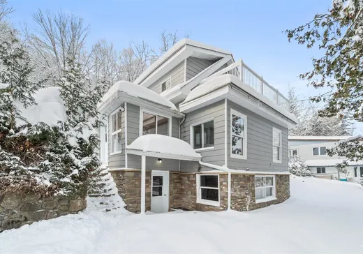 Un étage et demi à vendre - 579 Ch. du Lac-Manitou S., Sainte-Agathe-des-Monts, J8C2Z7