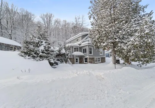 Maison à vendre - 579 Ch. du Lac-Manitou S., Sainte-Agathe-des-Monts, J8C 2Z7