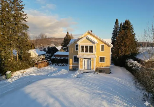 Maison à vendre - 151 Rue Martin, Eastman, J0E 1P0