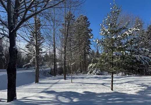 House for sale - 103 Rue Louise, Lac-Mégantic, G0Y 1G0