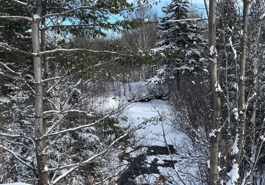 House for sale - 103 Rue Louise, Lac-Mégantic, G0Y 1G0