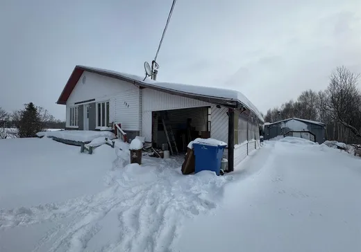 House for sale - 127 Route 113 S., Senneterre, J0Y 2M0