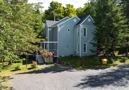 Two or more stories for sale - 36A Ch. des Alleghanys, Sutton, J0E2K0