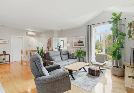 Maison à vendre - 311 Mtée du Versant-Sud S., Sainte-Agathe-des-Monts, J8C 0L5