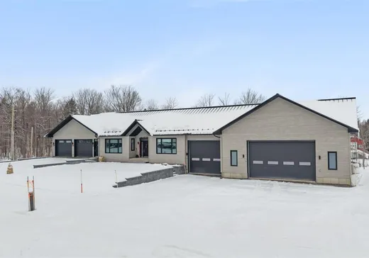 Maison à vendre - 186 Rg Ste-Catherine, St-Raphael-de-Bellechasse, G0R 4C0