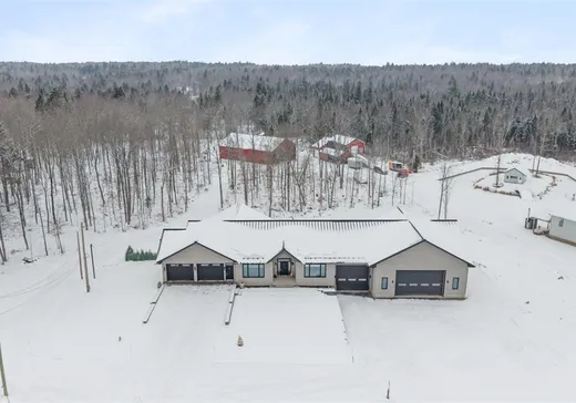 Maison à vendre - 186 Rg Ste-Catherine, St-Raphael-de-Bellechasse, G0R 4C0