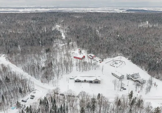 Maison à vendre - 186 Rg Ste-Catherine, St-Raphael-de-Bellechasse, G0R 4C0