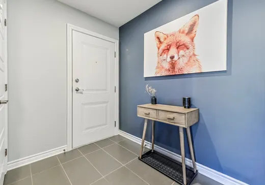 Condo à vendre - 8015 Rue de Londres, Brossard, J4Y 0K5