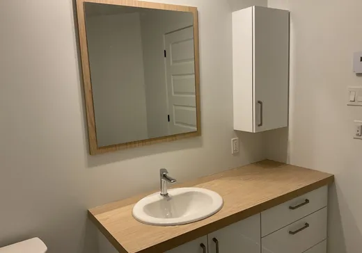 House for sale - 212 Rue Louis-Houde, Sainte-Croix, G0S 2H0