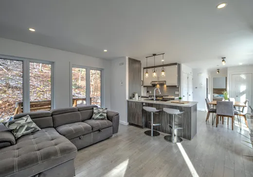 Maison à vendre - 133Z Rue de la Falaise, Rivière-Rouge, J0T 1T0