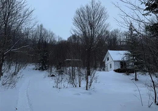 House for sale - 99 Ch. Corrine, Notre-Dame-Des-Boies, J0B 2E0