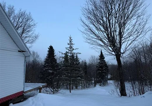 House for sale - 99 Ch. Corrine, Notre-Dame-Des-Boies, J0B 2E0