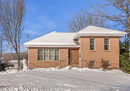 Paliers multiples à vendre - 8 Rue des Goélands, Beaupré, G0A1E0